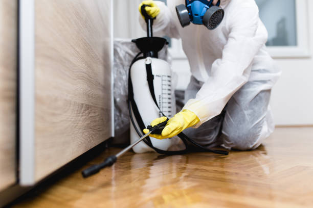 Best Flea Control Services  in Randallstown, MD