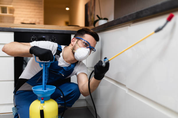 Best Exterminator Services  in Randallstown, MD