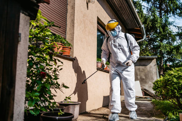 Best Emergency Pest Control  in Randallstown, MD