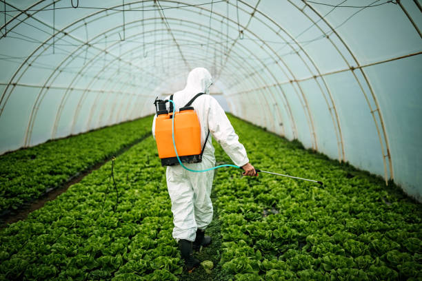 Pest Prevention Services in Randallstown, MD