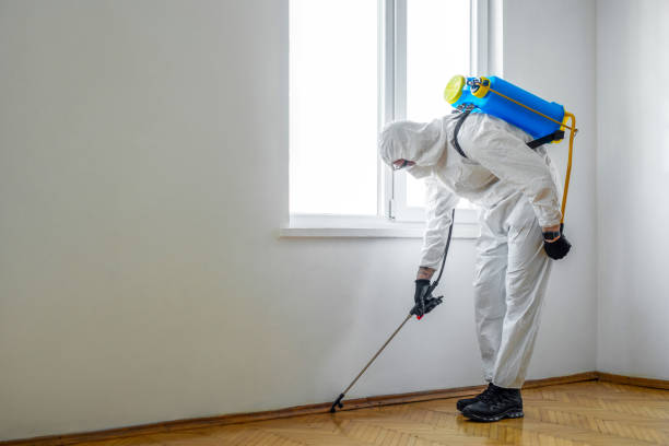 Best Mosquito Control Services  in Randallstown, MD