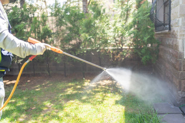 Professional Pest Control in Randallstown, MD