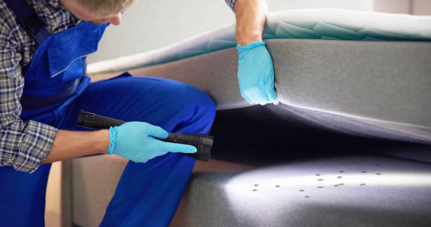 Best Local Pest Control Services  in Randallstown, MD