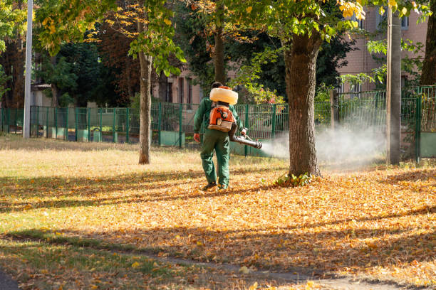 Best Pest Prevention Services  in Randallstown, MD