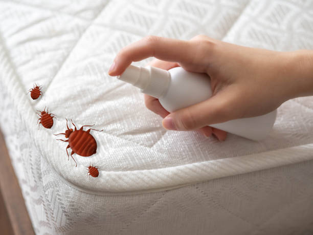 Best Pest Control Near Me in Randallstown, MD