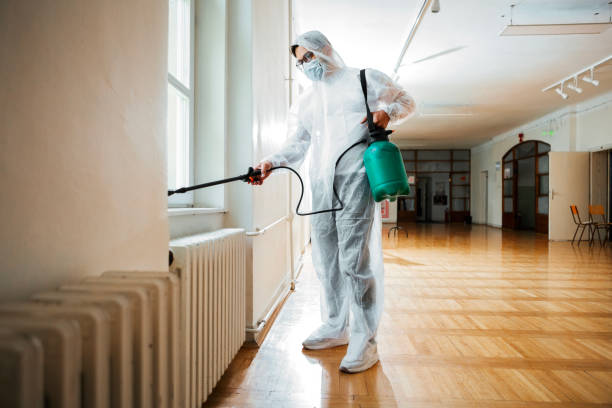 Best Affordable Pest Control Services  in Randallstown, MD