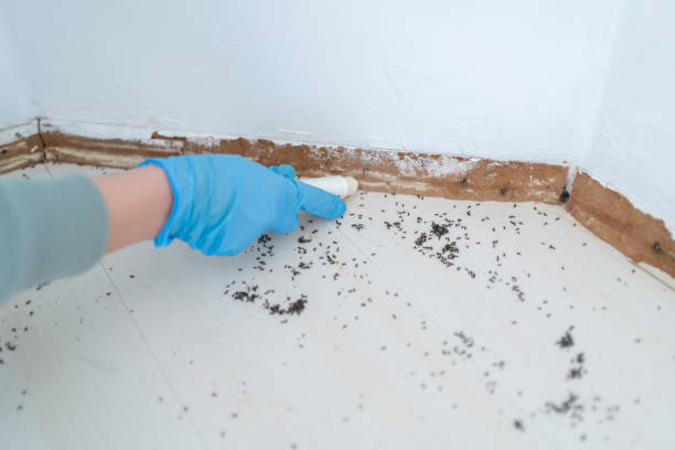  Randallstown, MD Pest Control Pros