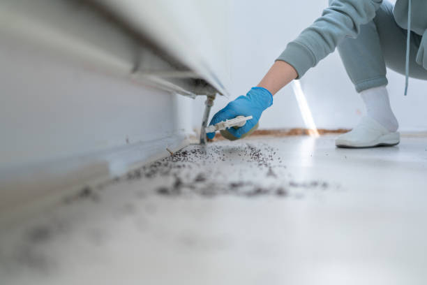 Best Best Pest Control Near Me  in Randallstown, MD